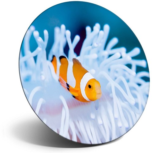 Awesome fridge magnet - fridge,