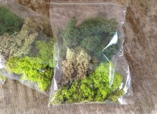 60g Value trainmad Model Moss