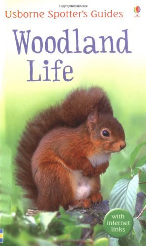 Woodland life usborne - woodland, (usborne