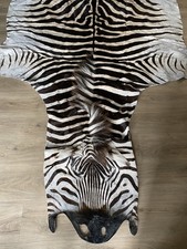 Zebra Real Skin Rug Hide Large