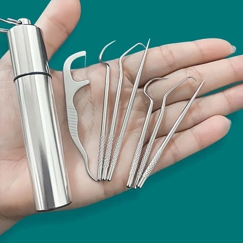 Dental kit toothpick set metal - toothpick,