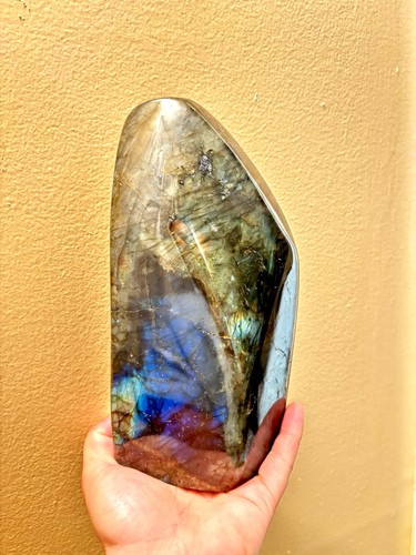 Large polished labradorite - large,