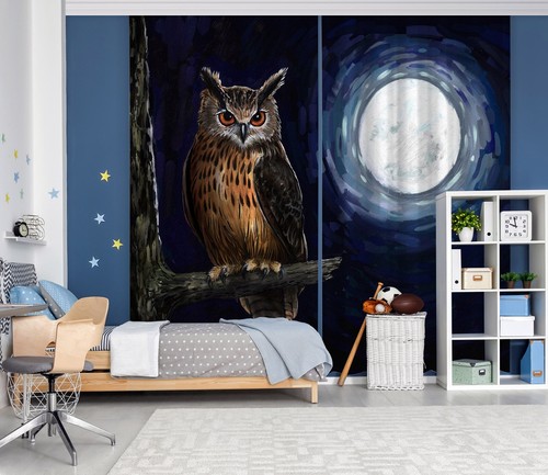 Night owl zhub366 animal - 3d,