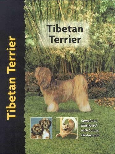 Tibetan terrier by - terrier,