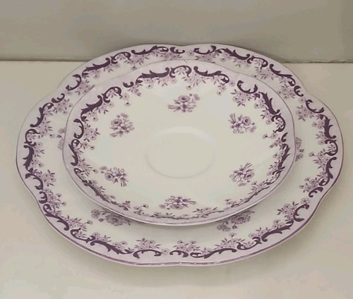 Rare shelley fine bone - rare,