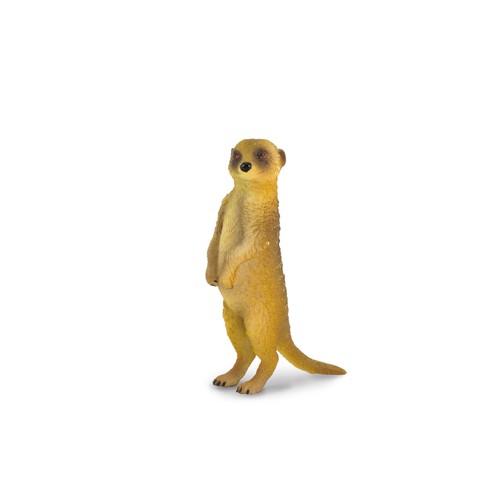 Collecta meerkat standing - meerkat,