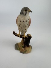 Country Artists  Kestrel On