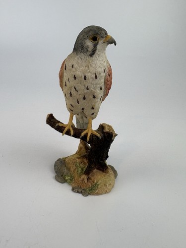 Country artists kestrel on - artists,