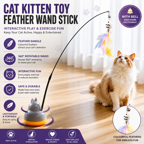 Cat kitten toy feather wand - kitten,