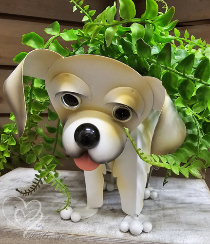 Labrador wobbly head dog metal - wobbly,