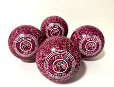 Taylor Ace Indoor/Outdoor