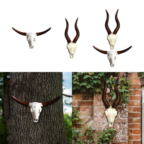 Faux animal skull wall - skull,