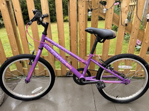 Apollo envy inch - 20-inch, bike