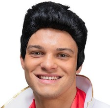 Adult Fancy Dress 50s Rocker Wig Teddy Boy King of Rock Black 1950s 50's Wig w