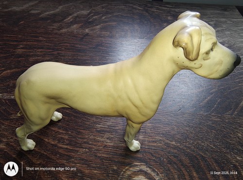 Beswick great dane - , ‘ch