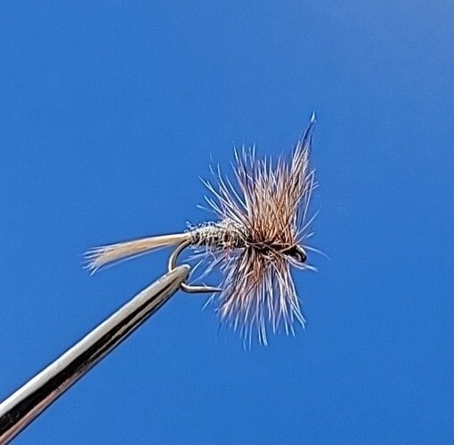 Adams dry trout - adams,