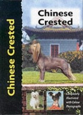 Chinese Crested (Pet