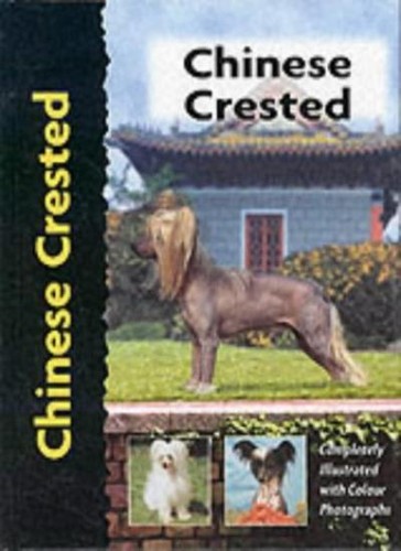 Chinese crested pet - crested, (pet