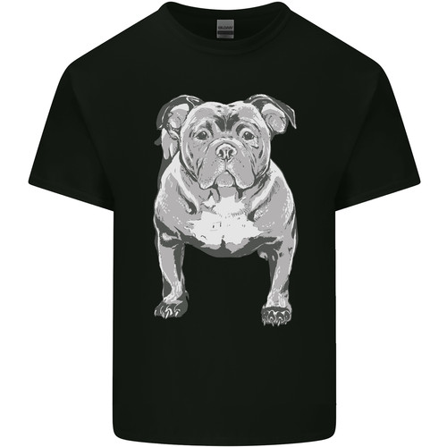 American bully striking pose - american,