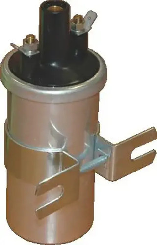 Ignition coil 10489e meat - meat, &
