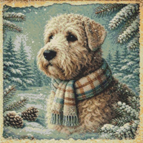 Soft coated wheaten terrier - soft,