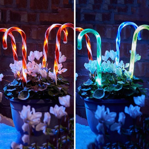 Outdoor garden xmas - garden,