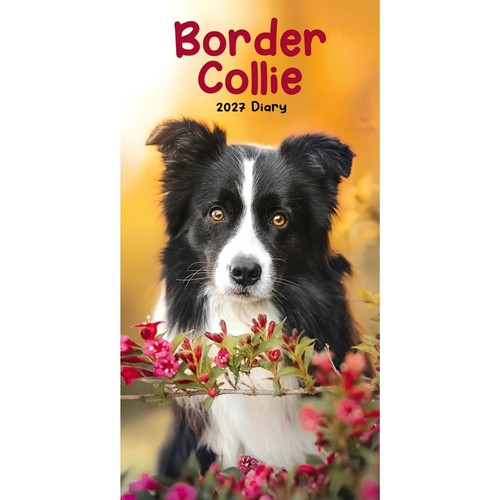 Carousel worldwide 2027 border - carousel,