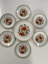 J & G Meakin Studio Poppy Plates