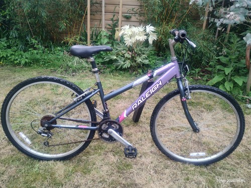 Ladies mountain bike - ladies,