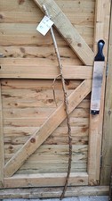 Twisted Twisty Wood Hazel