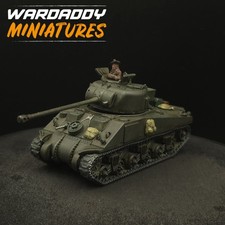 Pro Painted 28mm Bolt Action