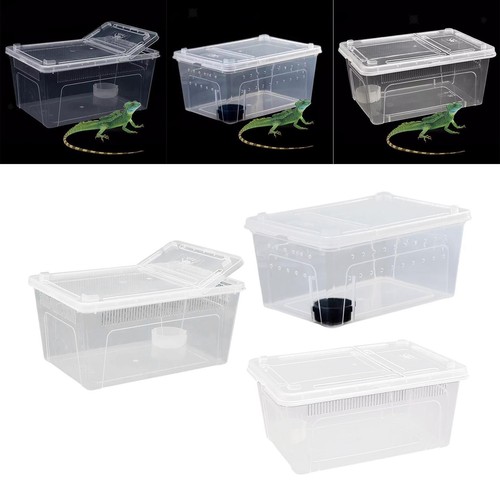 Reptile feeding box breeding - feeding,