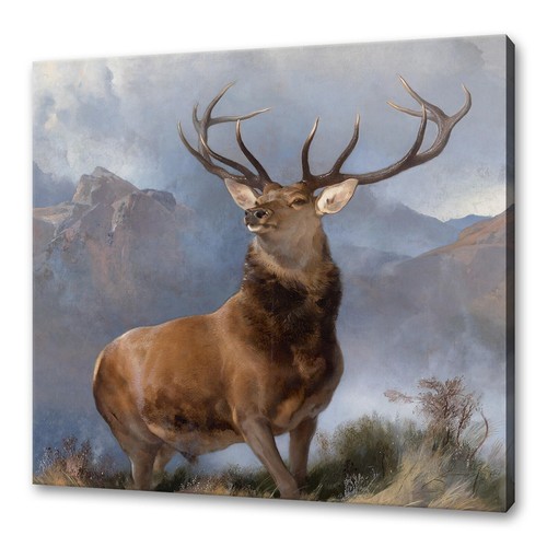 The monarch glen edwin - the,