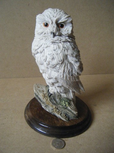 Superb country artists snowy - superb,