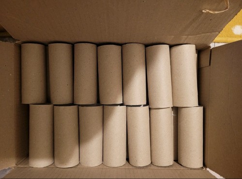Toilet roll tubes arts - 30,