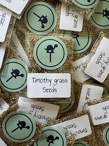 Timothy grass seeds for - timothy,