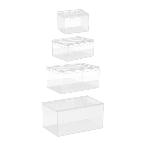 Reptile feeding box - feeding,
