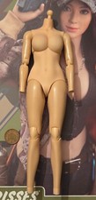 DAMTOYS Combat Girl Series