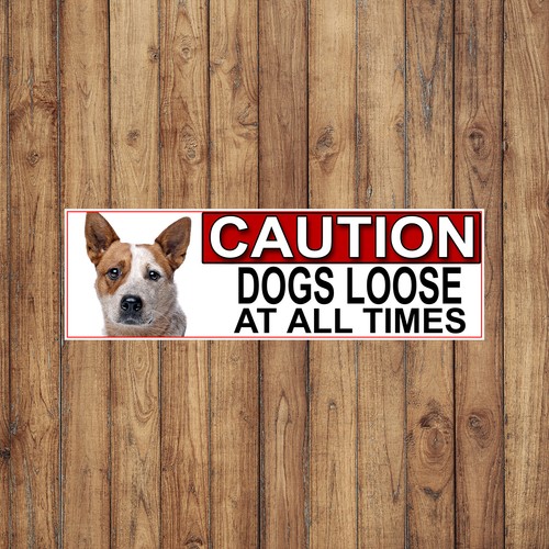 Australian cattle dog caution - australian,