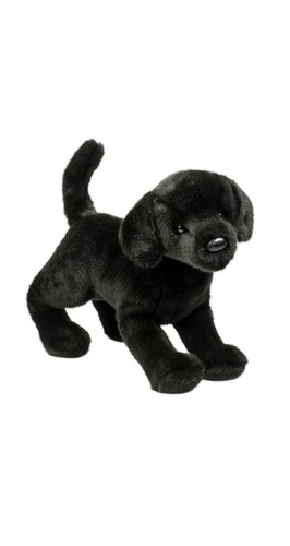 Douglas chester black lab - douglas, dog