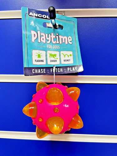 Dog puppy toy flashing - dog, ball