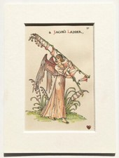 JACOBS LADDER Flower - Walter Crane Mounted Vintage Botanical Colour Print