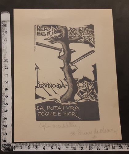 Wunderkammer exlibris 653 - c, "