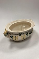 Aluminia Golden Rain