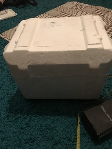 Polystyrene box frozen - 1,