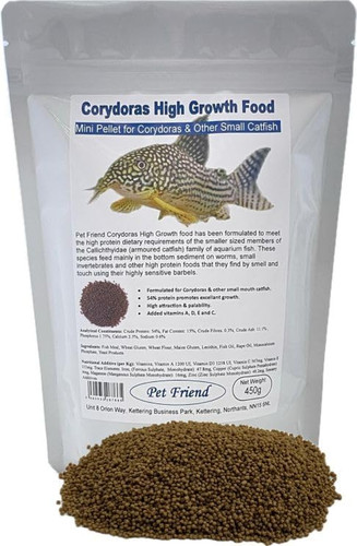 Corydoras catfish high - corydoras,