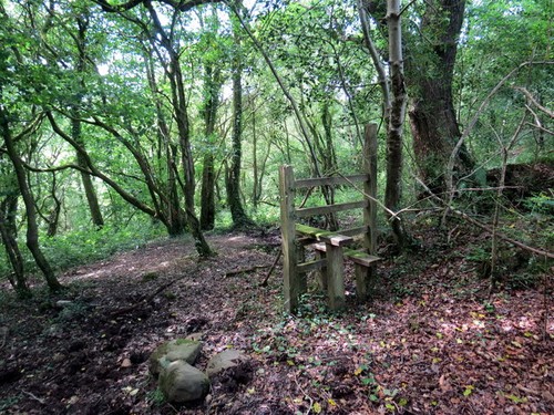 Photo 6x4 tuag afon gwili - tuag,