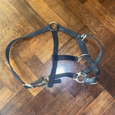 Black Horse Head Collar Cob