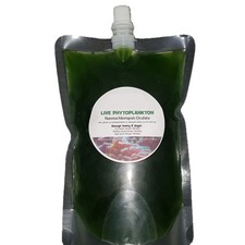 Live Phytoplankton Plants