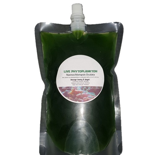 Live phytoplankton plants - live,